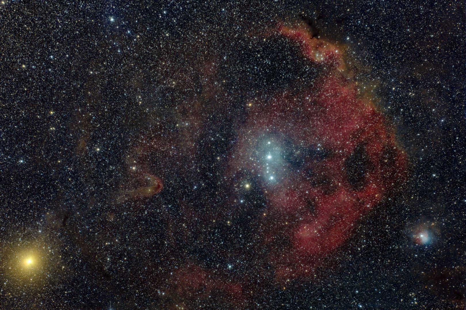 SH2-264 Angelfish Nebula und Umgebung (Rainer Manoff)